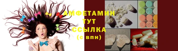 молекула духа Каменногорск