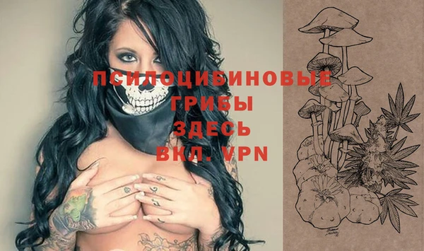 винт Каменка